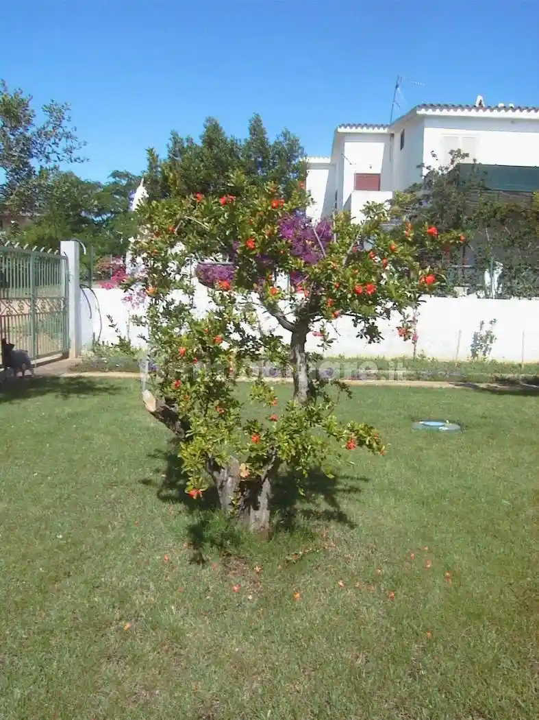 Villa in vendita a Siniscola