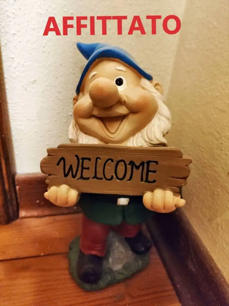 Appartamento in affitto a Sestola