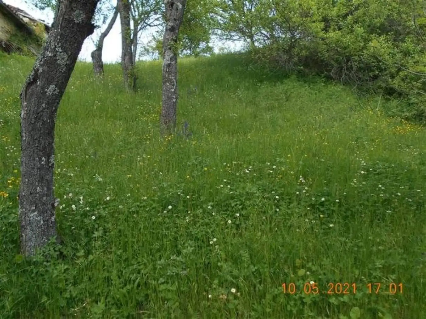 Villa unifamiliare Borgo Adorno San c, Borgo Adorno, Cantalupo Ligure - foto 4