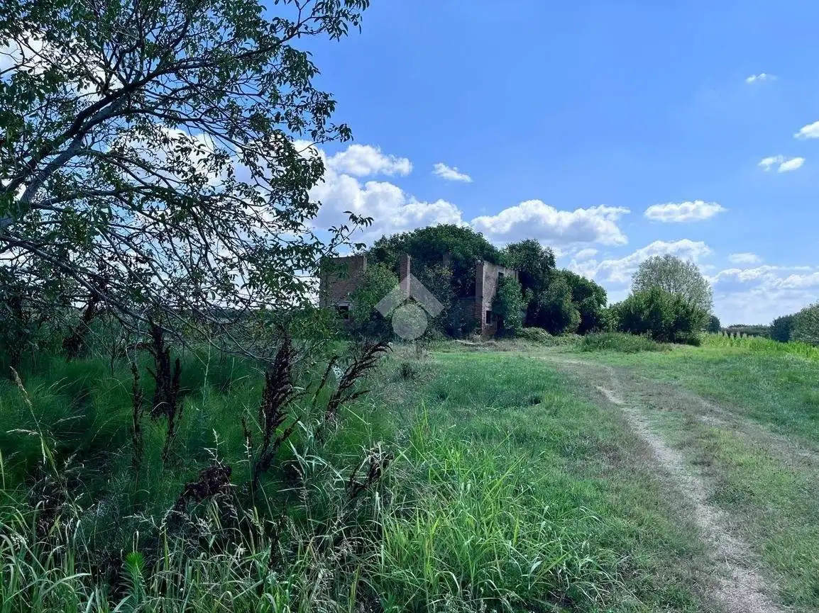 Rustico - Casale in vendita a Malalbergo