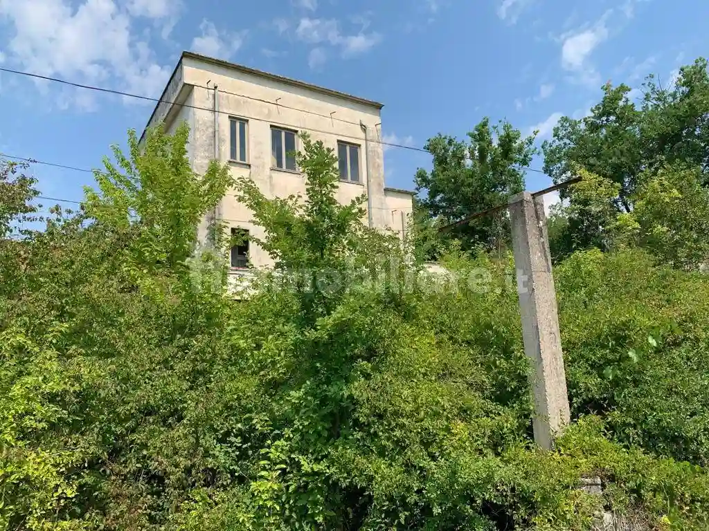 Palazzo - Edificio - foto 4