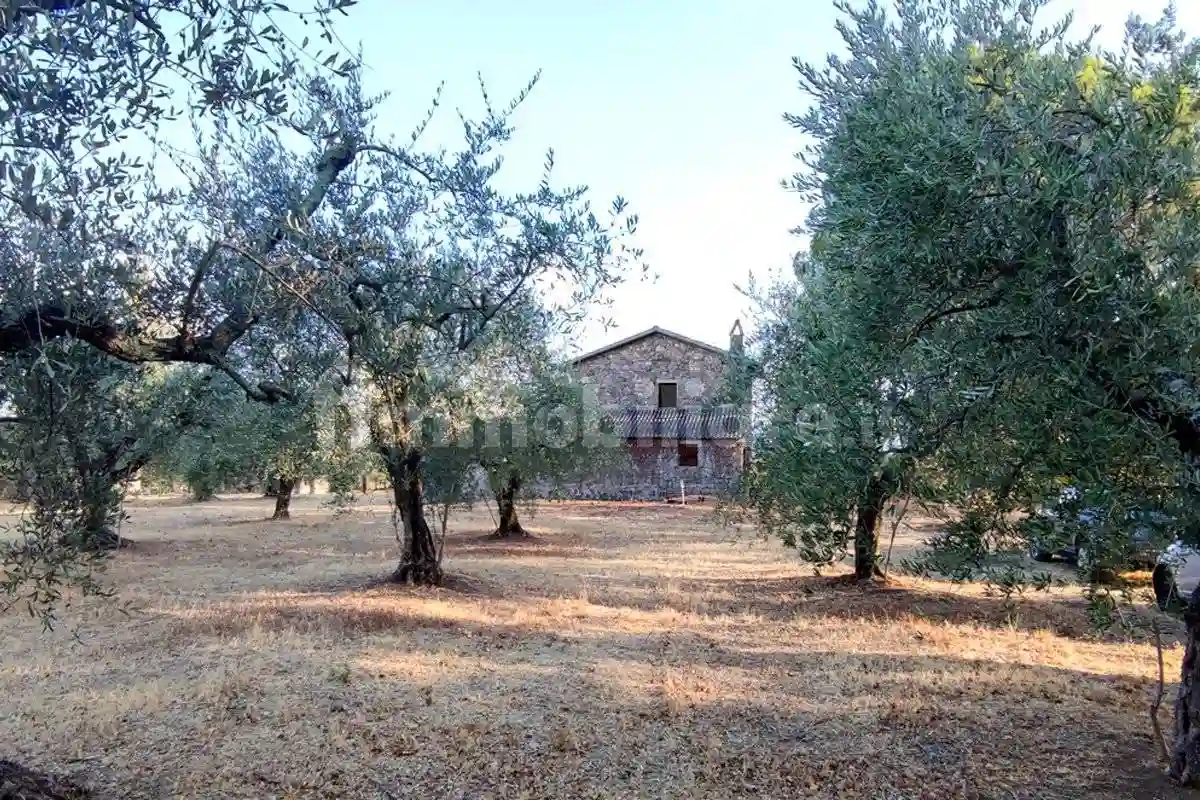 Rustico - Casale - foto 3