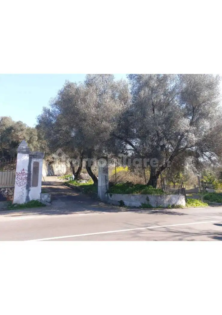 Palazzo - Edificio in affitto a Roma