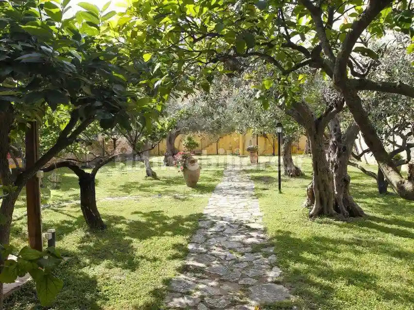 Palazzo - Edificio - foto 2