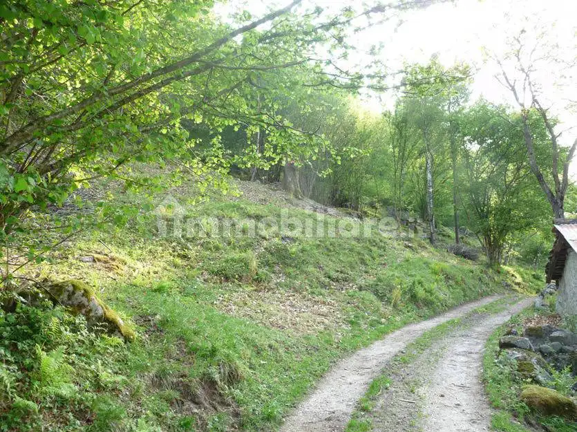 Cascina via Poglia 19, Cedegolo - foto 4