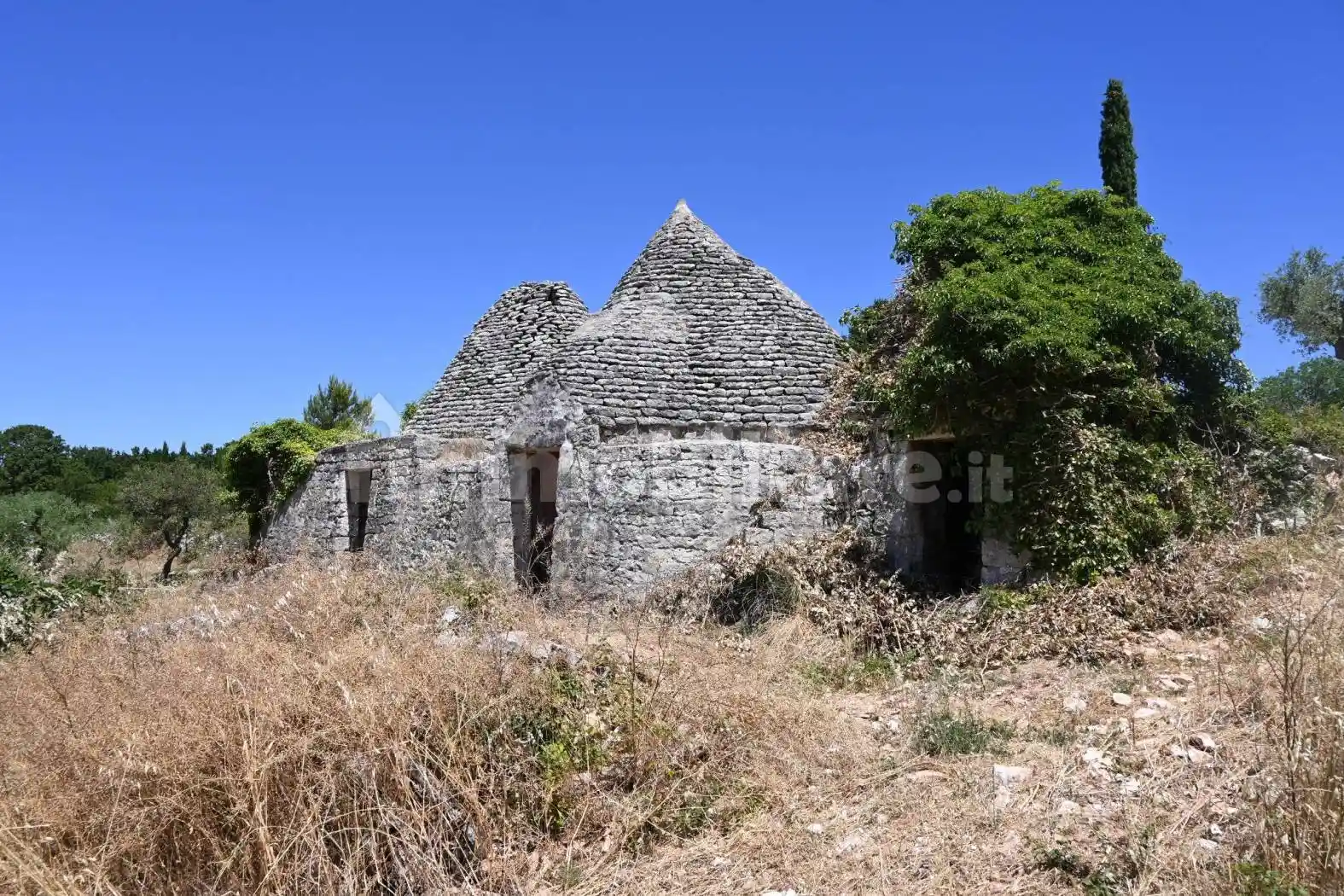 Rustico - Casale in vendita a Locorotondo