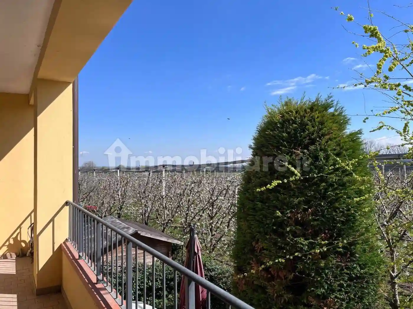 Palazzo - Edificio - foto 3