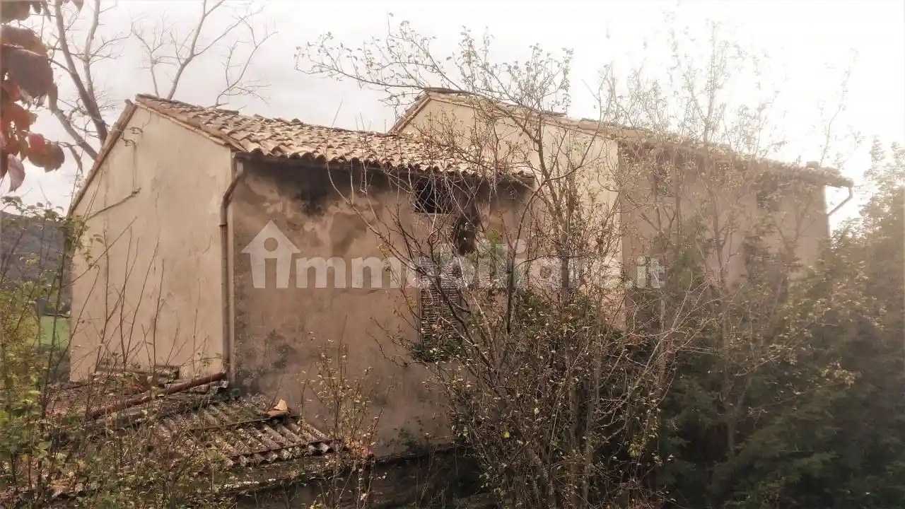 Rustico - Casale in vendita a Pellegrino Parmense