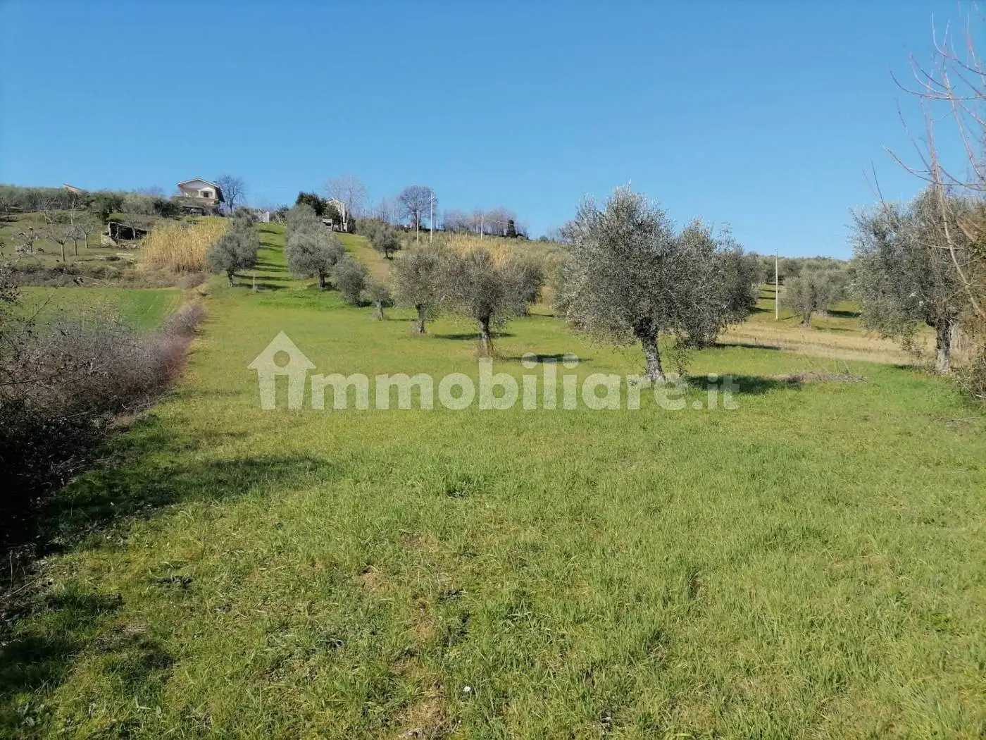 Rustico - Casale in vendita a Mosciano Sant'Angelo