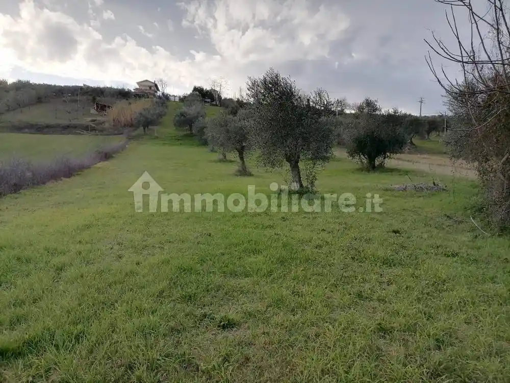 Rustico Strada Comunale Santa Filomena, Mosciano Sant'Angelo - foto 3