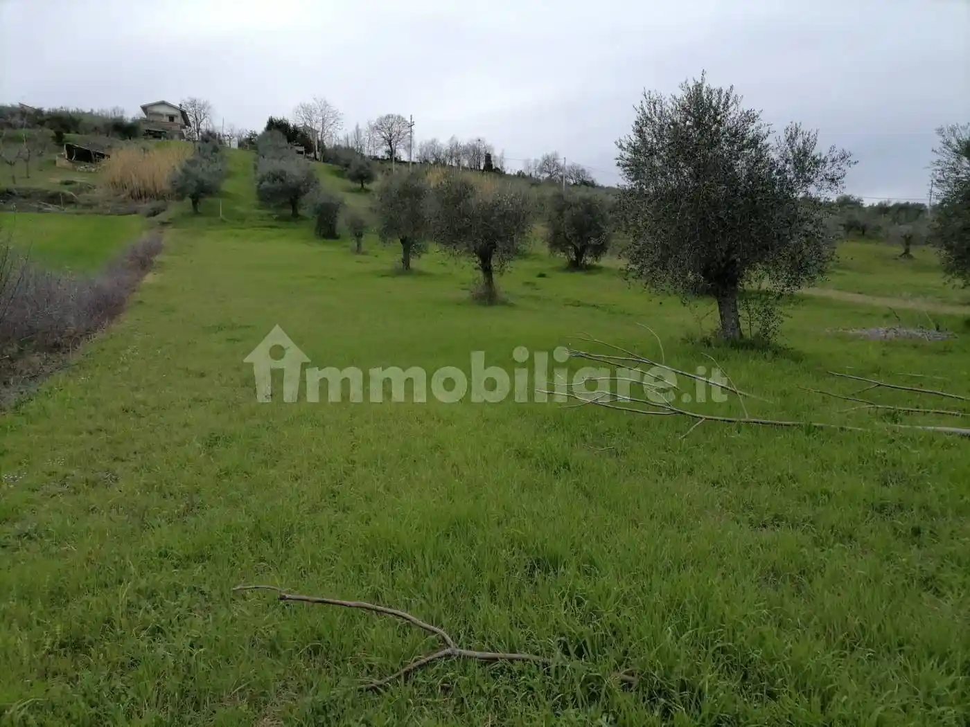 Rustico Strada Comunale Santa Filomena, Mosciano Sant'Angelo - foto 4