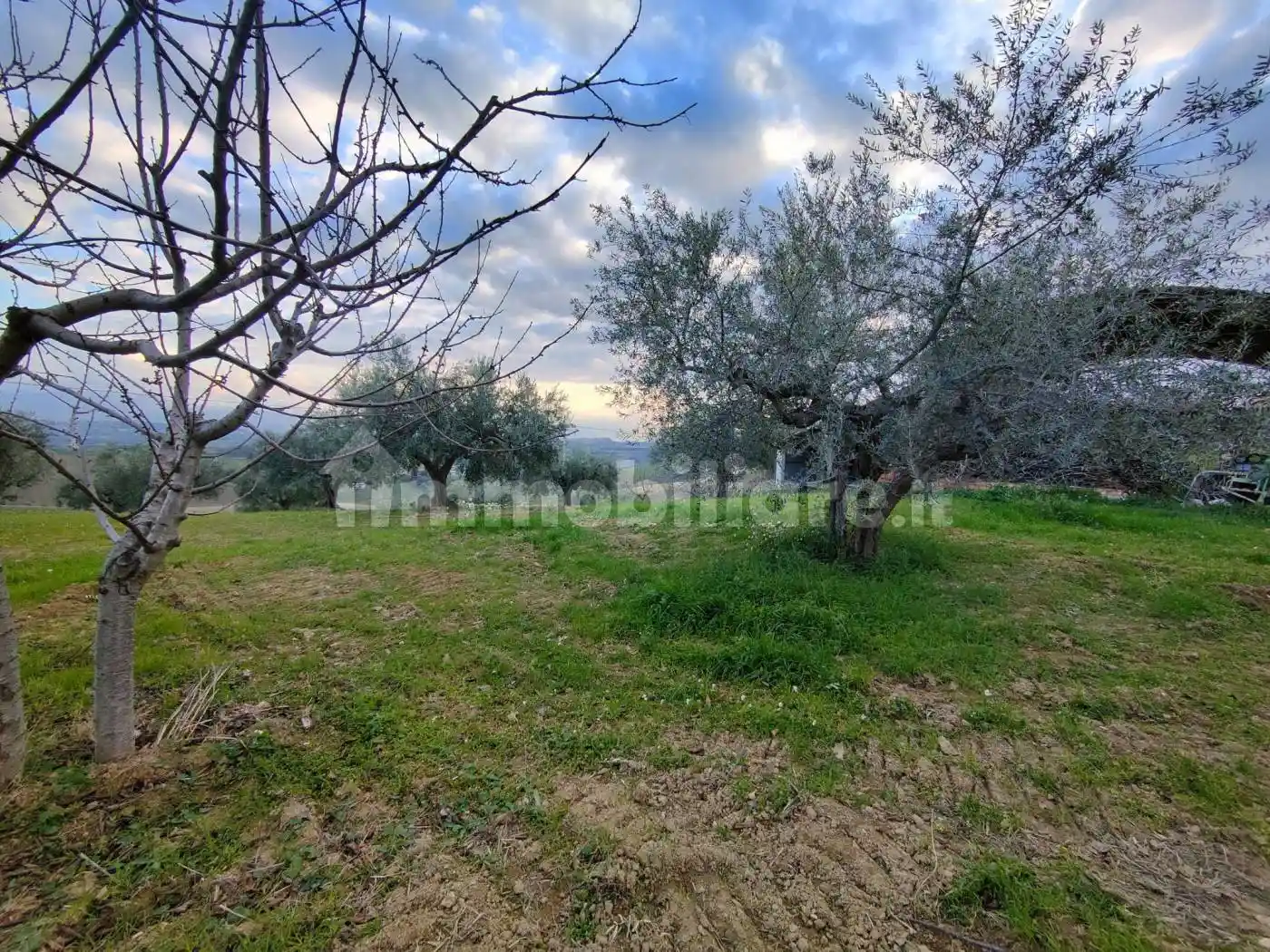 Villa unifamiliare Contrada Collecincero, Pianella - foto 2