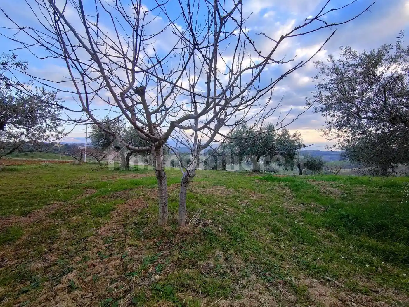 Villa unifamiliare Contrada Collecincero, Pianella - foto 4