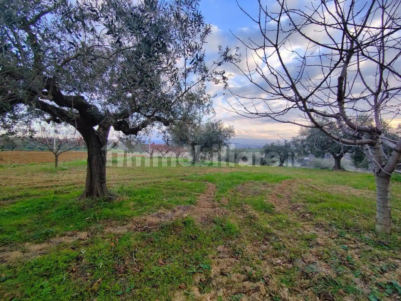 Villa unifamiliare Contrada Collecincero, Pianella - foto 5