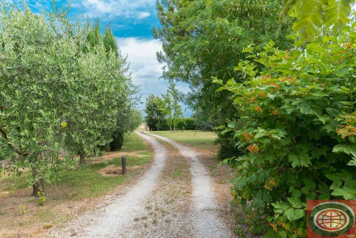 Rustico - Casale in vendita a Cesena