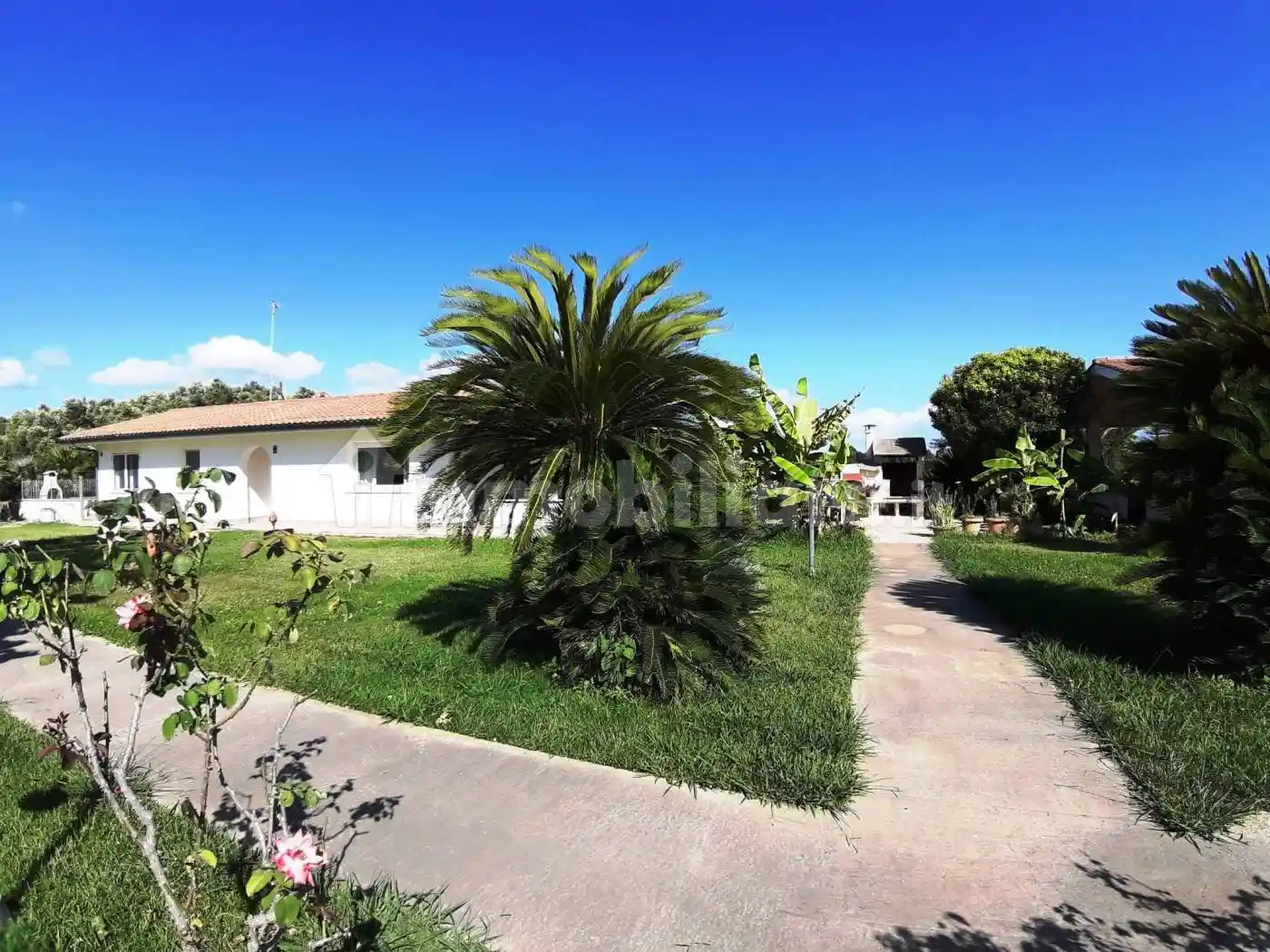 Villa in vendita a Cerveteri