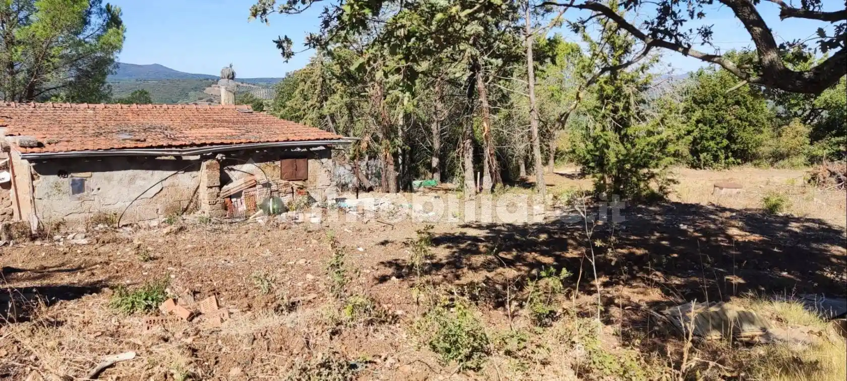 Rustico - Casale in vendita a Campagnatico