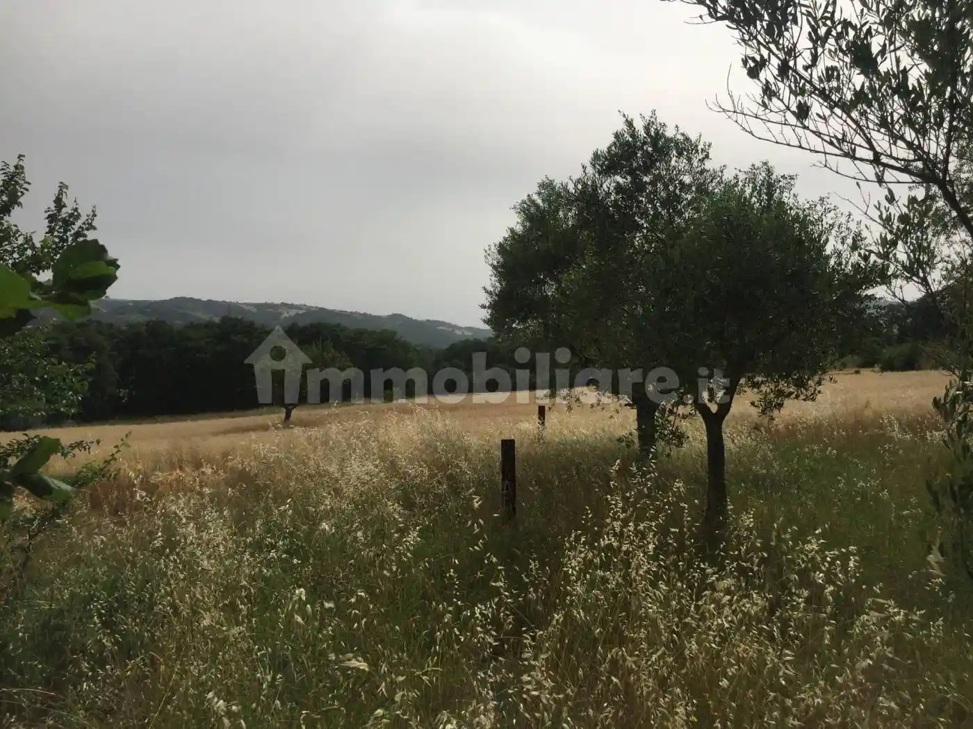 Rustico - Casale in vendita a Ferrazzano