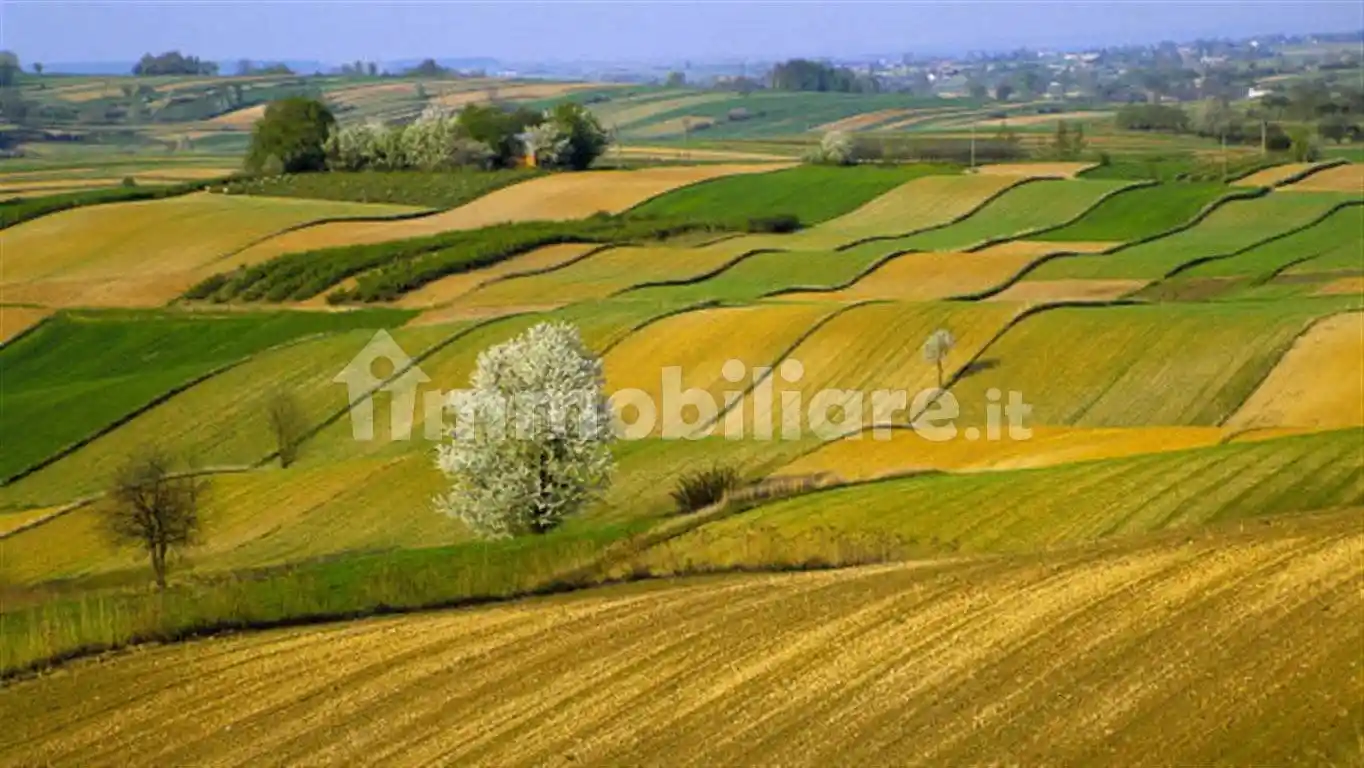 Rustico - Casale in vendita a Capalbio