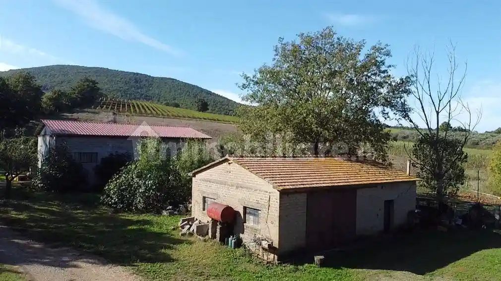 Rustico - Casale in vendita a Capalbio