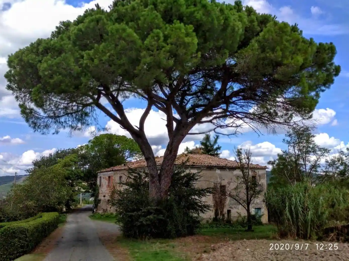 Rustico - Casale in vendita a Pomarance