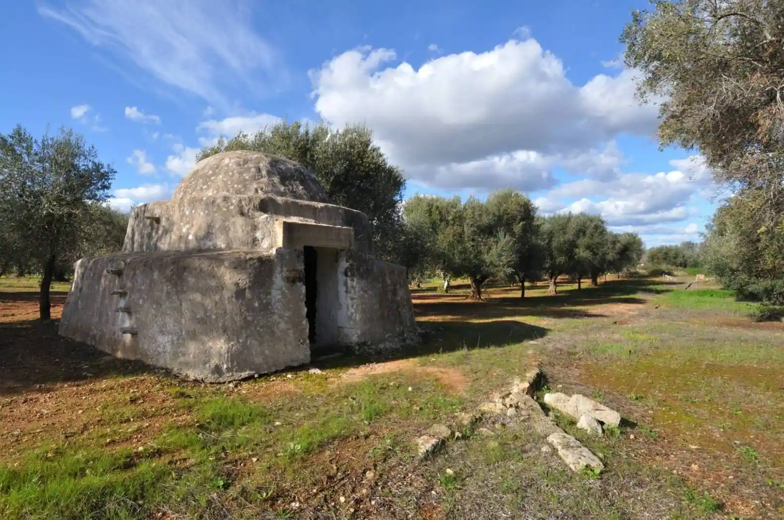 Rustico - Casale in vendita a San Vito dei Normanni