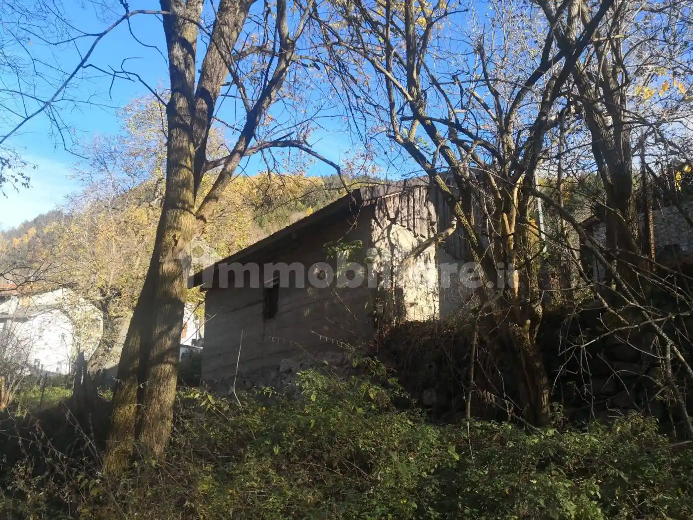 Rustico - Casale in vendita a Temù