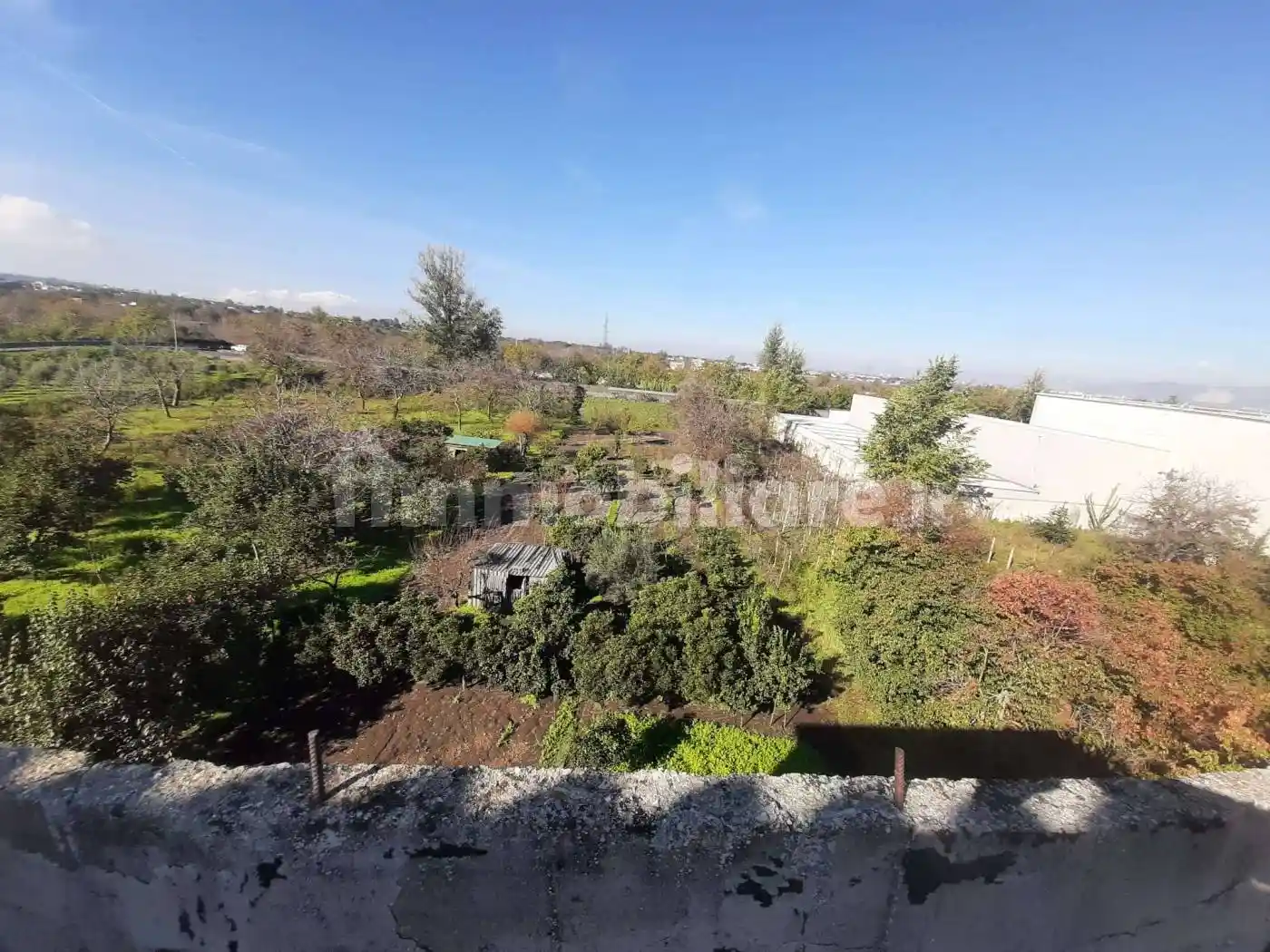 Palazzo - Edificio - foto 3